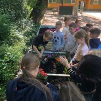IMG 430