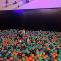 IMG 481