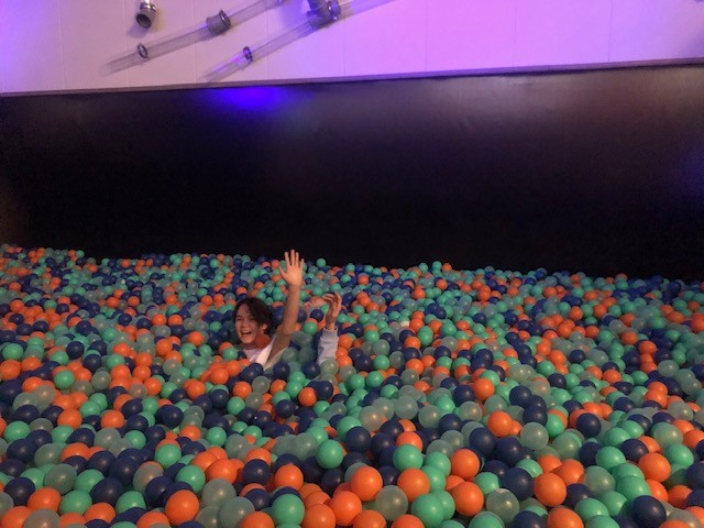 IMG 481