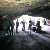 IMG 519